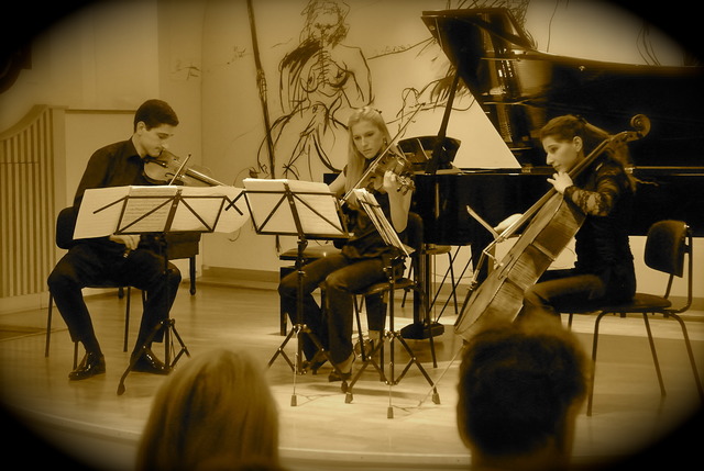 Das Aleksic Streichtrio